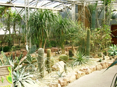 Tropical World